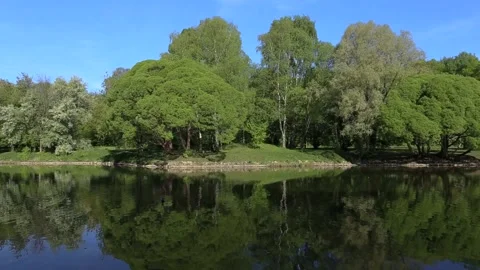 Brightly green trees are reflected in a mirror lake. Maybe anywhere. Background Stock Footage 90566234