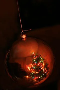 Brightly lit christmas tree reflection Stock Photos