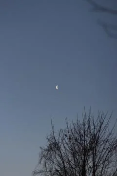 Brightly shining moon in a cloudless night sky Stock Photos