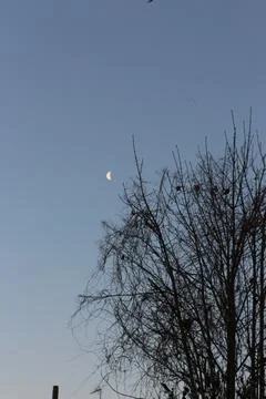 Brightly shining moon in a cloudless night sky Stock Photos