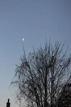 Brightly shining moon in a cloudless night sky Stock Photos
