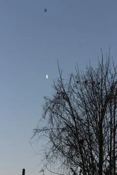 Brightly shining moon in a cloudless night sky Stock Photos
