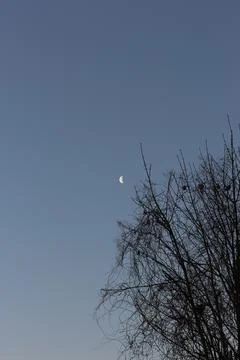 Brightly shining moon in a cloudless night sky Stock Photos