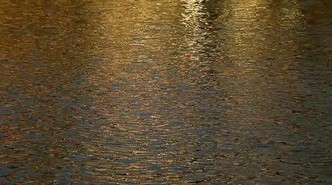 Brightness 库存影片 10914772