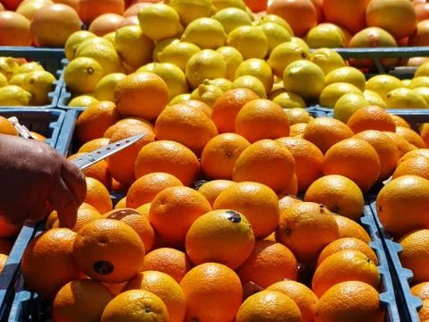 Brightness 스톡 사진