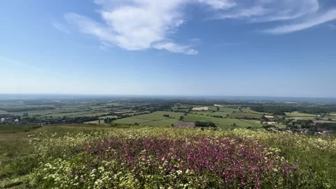 Brighton Devil's Dyke Panoramic Wildflowers Viewpoint Stock Footage 313173014