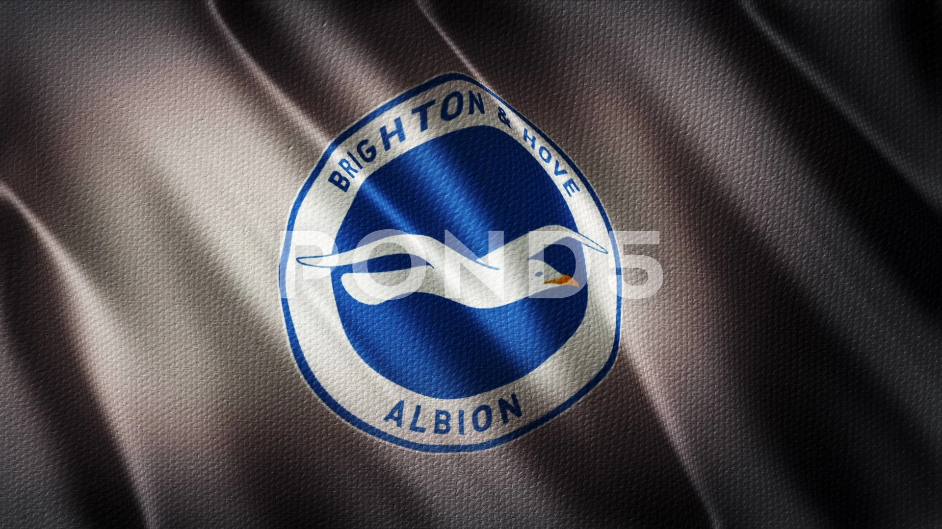 Brighton & Hove Albion Team Colors