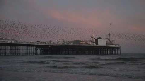 Brighton Pier at Magic Hour | HD 1080 Stock Footage 47716396