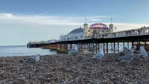 Brighton Pier, UK in August Stock Footage 141873056
