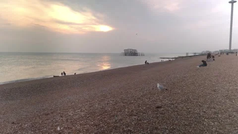 Brighton - Seagull at the beach Stock Footage 304904181
