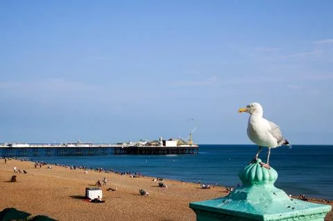 Brighton, Seaside Stock Photos