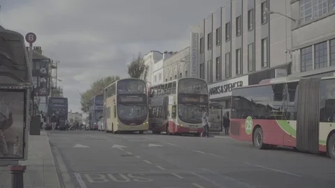 Brighton Town Centre Stock Footage 81388221
