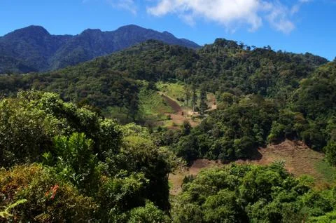 Brignt day view over mountain landscape in Panama. Stock Photos