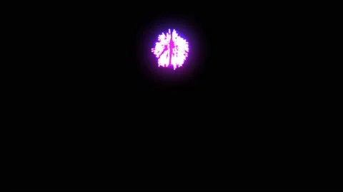A brigt firework exploding into blue and purple colours in dark night sky Stock Footage 143194989