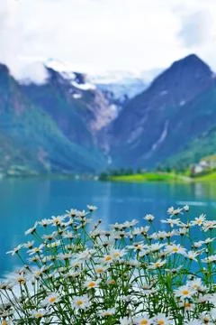 Briksdal glacier Stock Photos