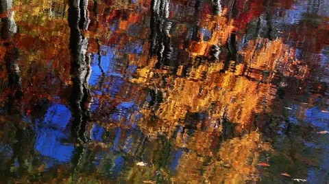Brilliant Autumn Reflection Loop Stock Footage