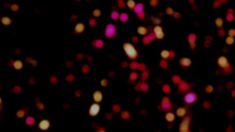 Brilliant background Stock Footage 129539447