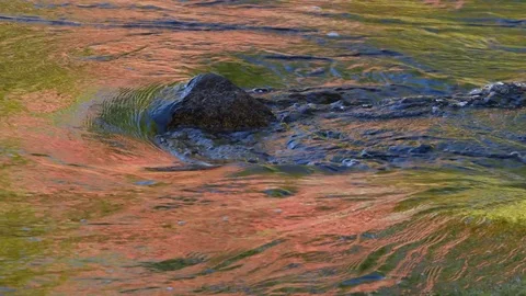 Brilliant fall colors reflected in stream,  New Hampshire Video stock 81142249