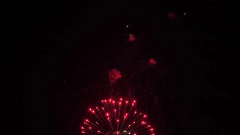 Brilliant firework bursts draw patterns in dark evening sky on holiday party Stock Footage 296319319