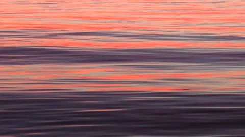 Brilliant Firey Coral Reflection On Smooth Dark Violet Lake Waves Stock Footage 130280441