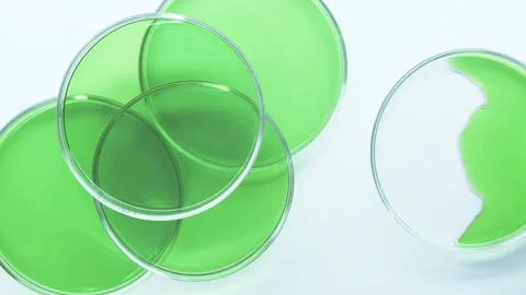 Brilliant Green Agar. Stock Footage 242804651
