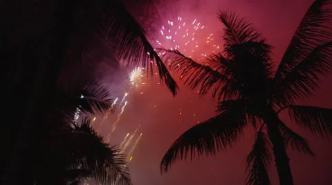 Brilliant Hawaii Firework Display Through Palm Trees In UHD Red Scarlet Dragon Vidéo 46160748