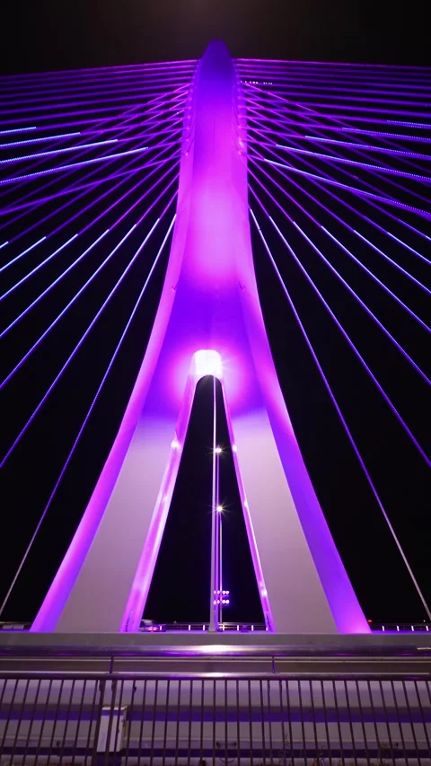 Brilliant Lights on the Bridge at Night Stock-Footage 345898404