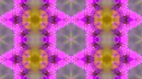 Brilliant spring mosaic pattern with bright pink flowers. 库存影片 58253417