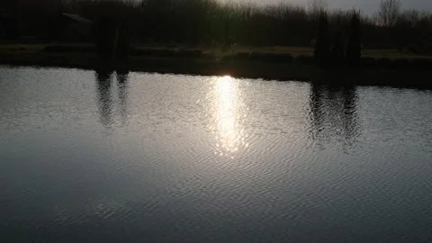 Brilliant sun reflection shimmers and ripples across a pond surface Vidéo 332734660
