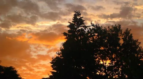 Brilliant Sunset Clouds Stock Footage 11880847