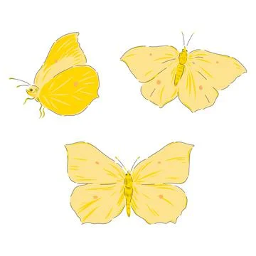 Brimstone butterfly vector set isolated Illustrazione stock