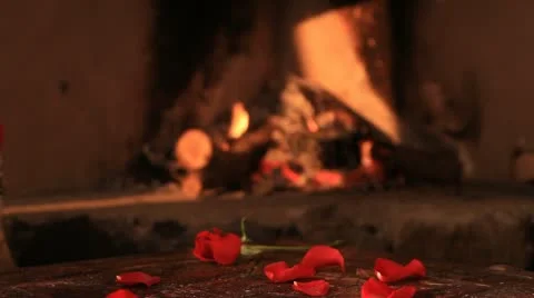 Brindis copas Video stock 10735295