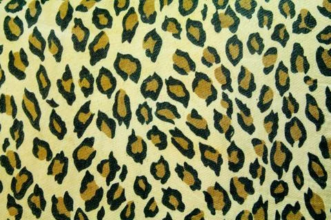 Brindle Stock Photos