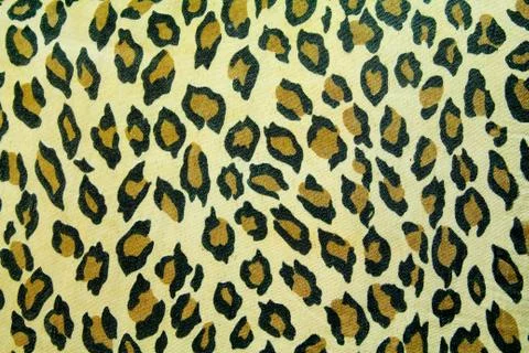 Brindle Stock Photos