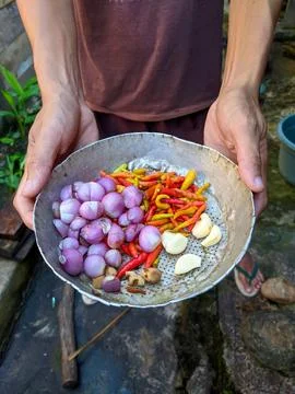 Bring shallots, chilies, garlic and other spices on the tray Stock Photos