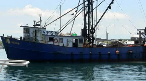 Bringing in catch of the day Stock Footage 12278942