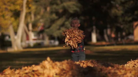 Bringing Leaves to the Pile Video stock 50300057