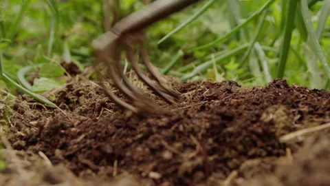 Bringing out compost with small rake and hand Stock Footage 274673610
