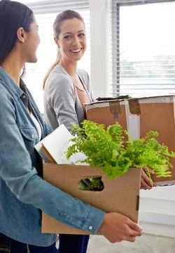 Bringing some life into the office. Two female businesswomen moving into a new Stock Photos