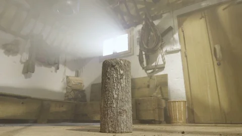 Bringing wood for cutting 動画素材 103257819