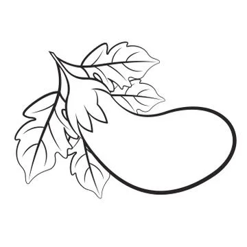 Brinjal in outline Stock Illustration