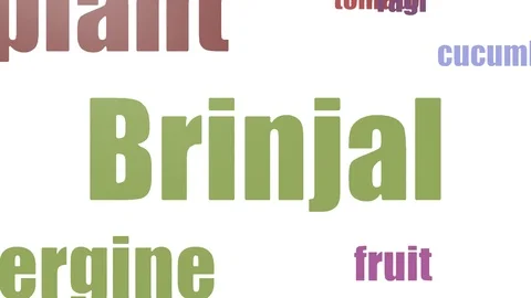 Brinjal Tag Cloud Animated Isolated Stock Footage 103559620