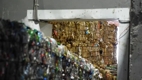 Briquettes with pressed garbage are on the conveyor. Stock Footage 128998579
