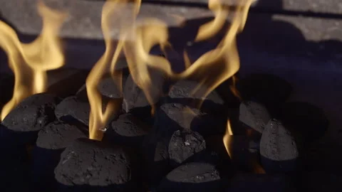 Briquettes start up fire for BBQ Stock Footage 336471123