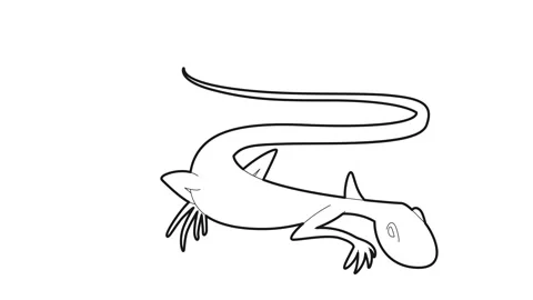 Brisk lizard icon animation Stock Footage 161043681