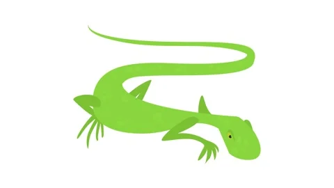 Brisk lizard icon animation Stock Footage 168928100