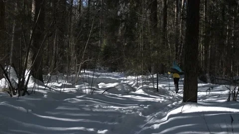 A brisk ski trip along forest trails Vidéo 170481121