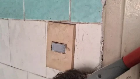 Bristle brush cleaning dirty light switch on tiled wall motion video Stock Footage 339248181