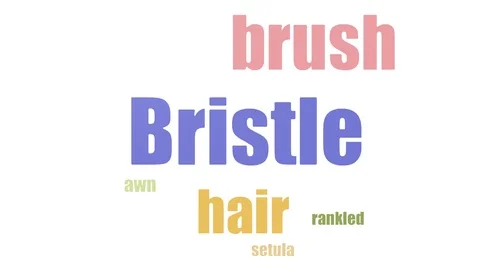 Bristle Word Cloud Animated Isolated Stock Footage 107239040