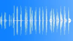 BristleBacked Duck Specially Created Sound Effect